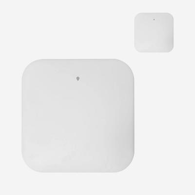 Teto interno faixa dupla sem fio montada 11ax 3000Mbps dos pontos de acesso 2.4G do gigabit 5G