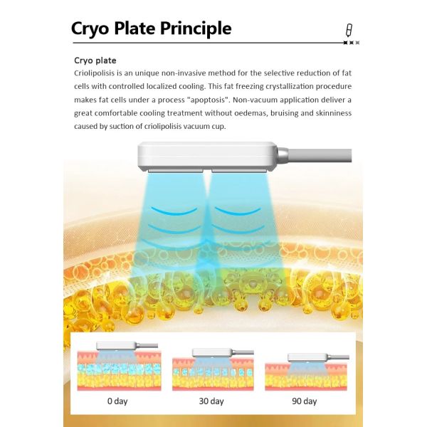 Non-invasive Body Slimming 4 Cooling Pads Cryo Membrane Fat Freezing Professional Machine Cool Sculpting Salon Massager Device