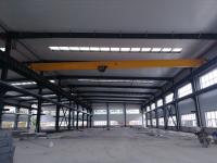 Guindaste de viagem elétrico do OEM do padrão europeu de guindaste aéreo do EOT da viga de Workshop1-10ton único