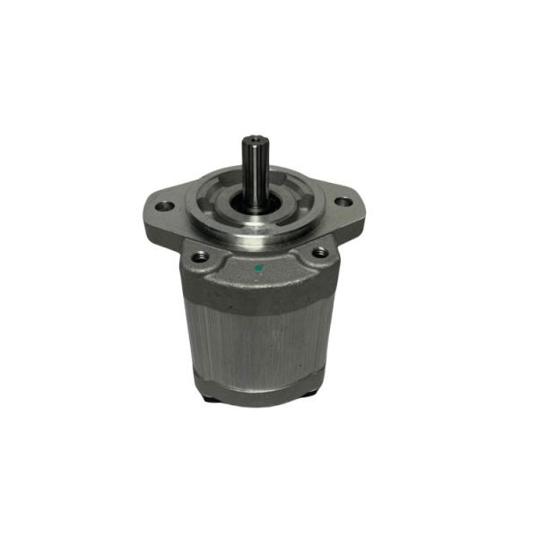 Long Working Life Steel Material Hydraulic Gear Pump Oil Pump for CPCD120-160 Forklift