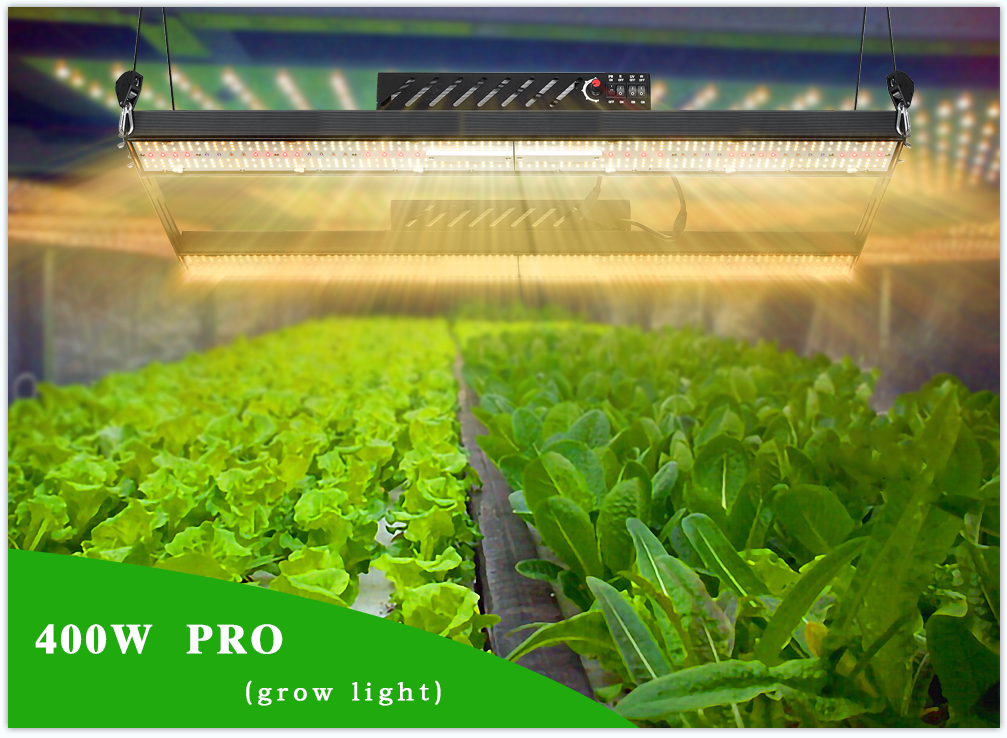 Доска ETL 400W красное 730nm 2.6umol/W водителя LM301H Кванта Meanwell