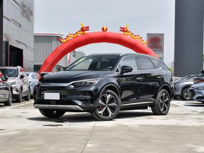 Byd Tang New Energy Vehicles 2024 EV Glory Edition Dragon Face Design