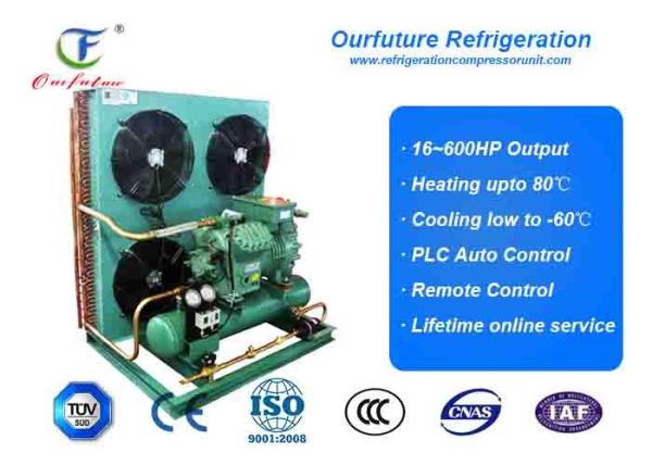 Supermarket Walk-In Freezer Condensing Unit Danfoss Low Temperature