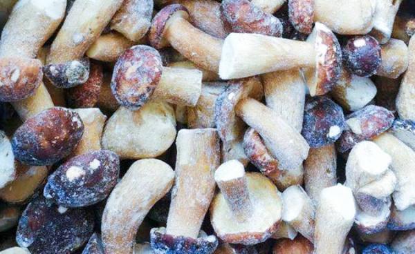 Frozen Mushrooms IQF BOLETUS EDULIS Grade A  24 Months Shelf Life ISO HACCP BRC KOSHER HALAL Certified 10 tons MOQ