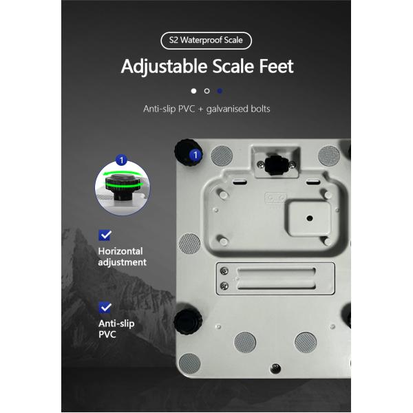 Product Idea 2024 304 Stainless Steel Balance Scale 6KG Maximum Range Unit lb oz g