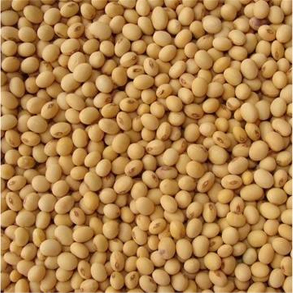 Оборудование засыхания мозоли NRS1.8*12 8r/Min 32kw