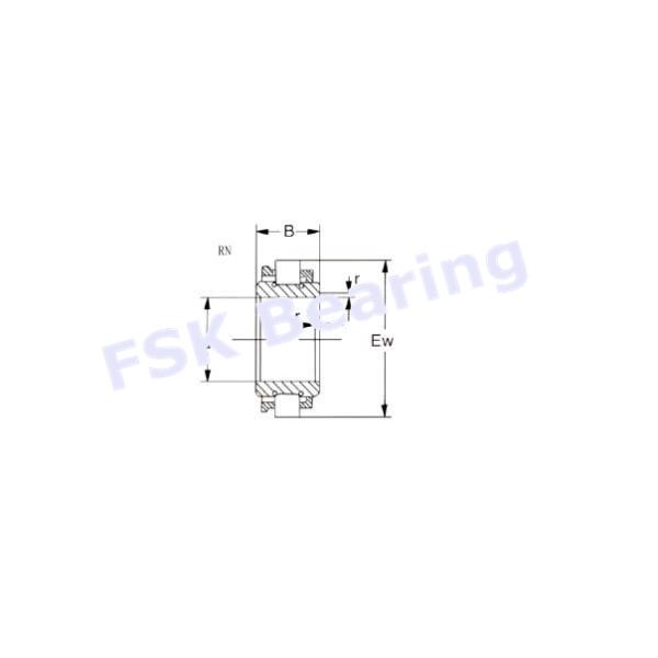 Eccentric RN205M Cylindrical Roller Bearing Brass Cage for Reduction Box