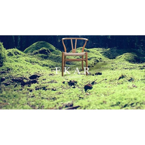 Northern Europe Modern Furniture Simple Designs Wooden Dining Room Chair