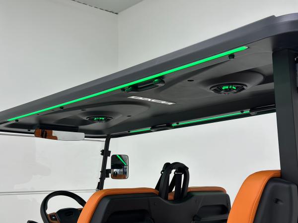 F12-4	6300W	4-Seater Golf Cart