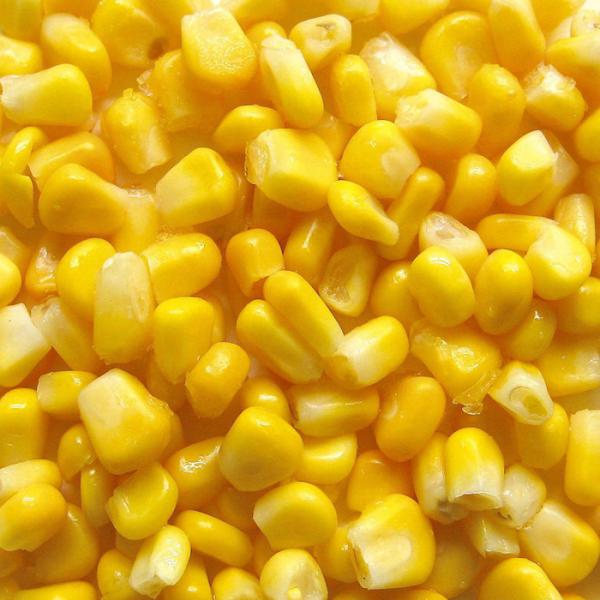 FDA Certified IQF Frozen Vegetables/ Frozen Whole Kernel Sweet Corn For Supermarkets