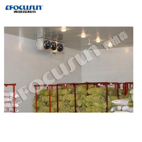 FOCUSUN Refrigeration Room with Cold Freezer System The Ultimate Cold Freezing Solution