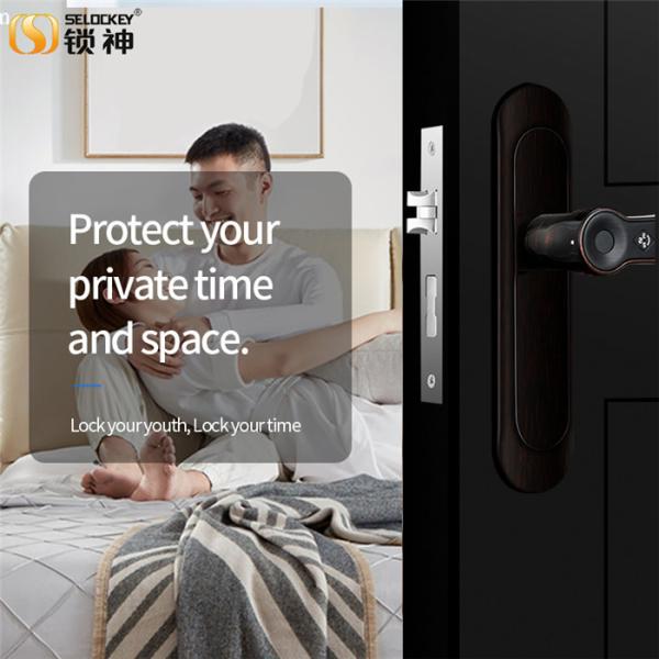 No Drilling Hole Household Fingerprint Zinc Alloy Smart Door Locks