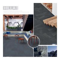 La ligne conception d'élément a imprimé le tapis commercial couvre de tuiles le nylon 6 avec le support de PVC