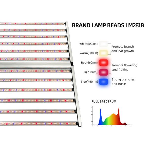 Wholesale 1200W Led Grow Light Fixture Full Spectrum Commercial SAMSUNG LM301H LM281B Led 12 Bar 4x6ft Indoor for Veg Fruit Tomato