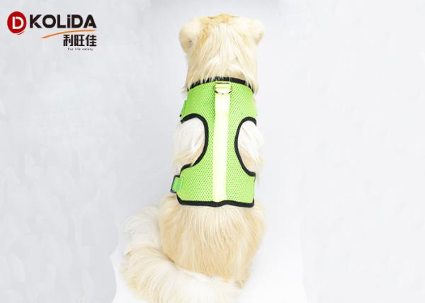 Nylon Chest Usb Rechargeable LED Dog Harness Glow In The Dark Harness