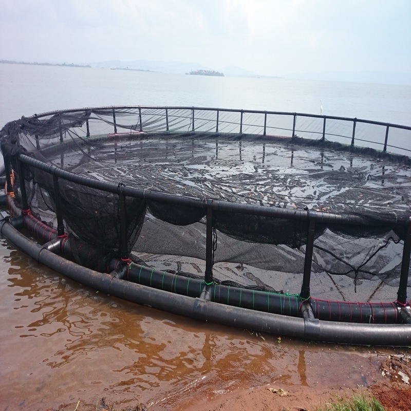 HDPE Fish Cages for Brackish Estuaries | Salt Corrosion & Silt Resistant, Suitable for Lagoon & Estuary Farming