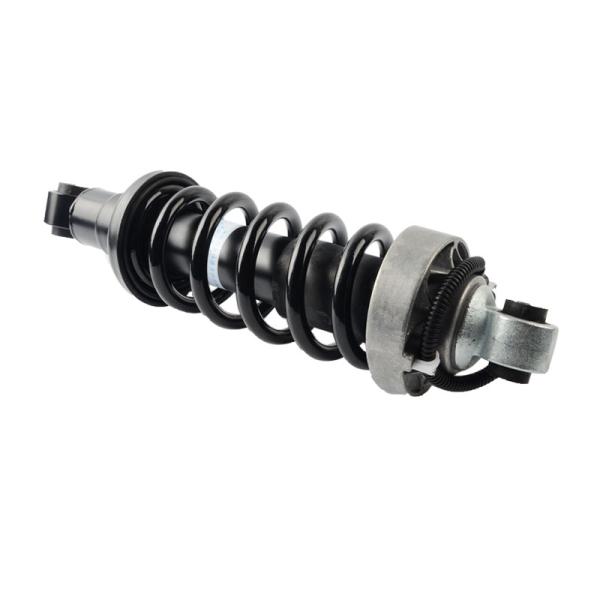 Shock Absorber Audi Air Ride Suspension Parts For R8 2008-2016 Rear Hydraulic Pressure Damper 420 512 019 AL