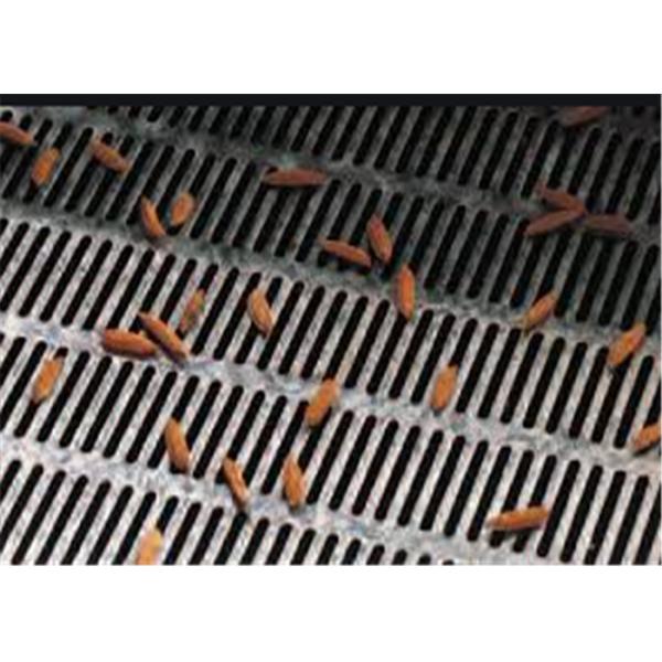 Stainless Steel 304 2.5 Mm Metal Perforated Sheet For Decoration