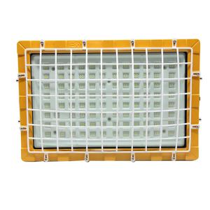 Super Bright Tunnel Light Ip65 Waterproof Explosion Proof LED Flood Light