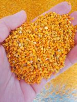 Пчеловодство Beestar прозодежд пчеловодства высококачественное оборудует костюм пчеловодства Vantilated 3 слоев