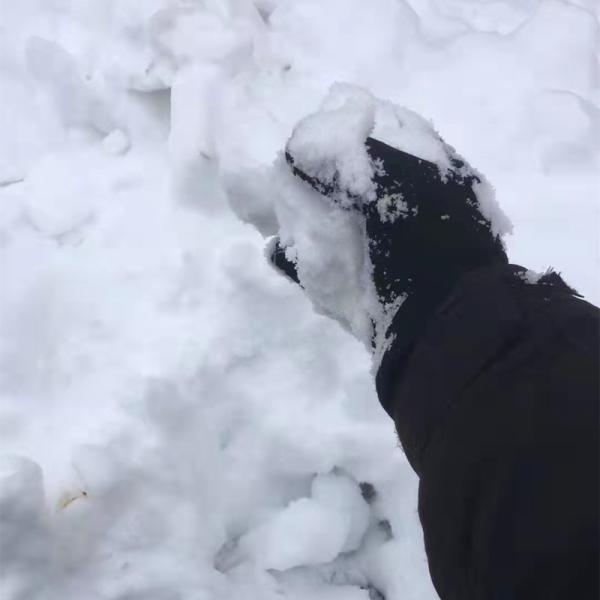 Fiber Synthetic Cotton Waterproof Riding Gloves Anti Slip Plain Dyed