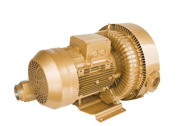 7.5kw Double Stage Vacuum Pump To Replace The Roots Blowerin Waste Water Treatment