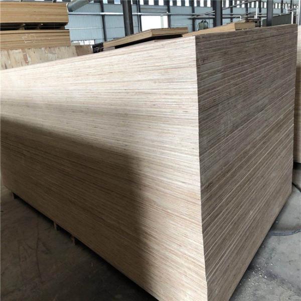 25mm Sapele Faced Plywood