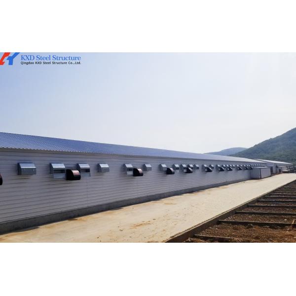 Broiler Poultry Prefab Houses Steel Structure Fully Automated Chicken Farming Equipment