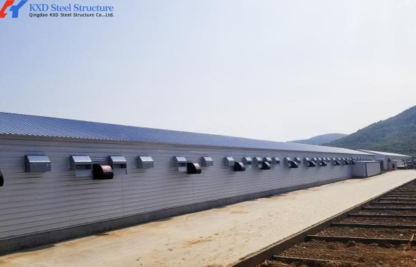 Custom Prefabricated Steel Poultry House for 15000 Broiler Birds