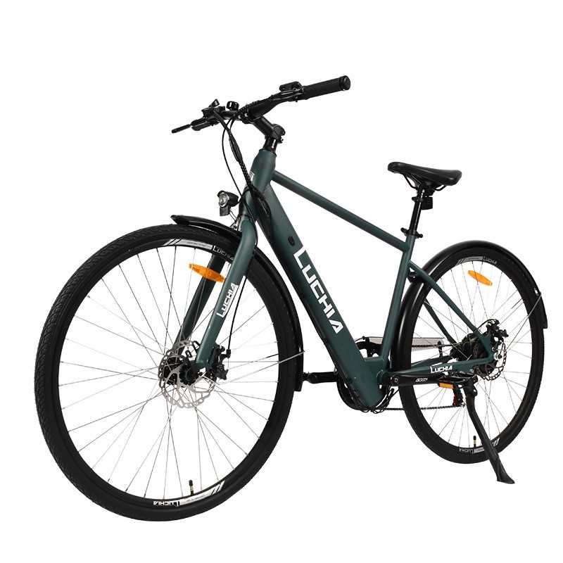 Powerful Electric City Bike featuring 350w Motor and 48v 15ah Battery