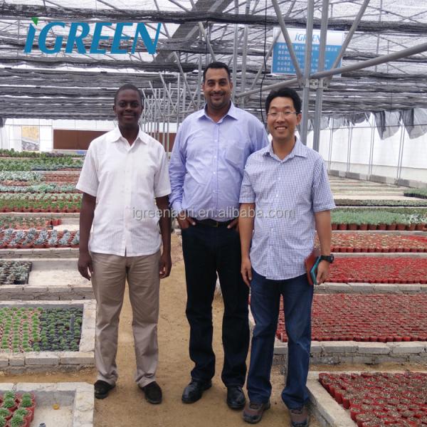 2m Column Commercial Vegetable Greenhouse with Rain Gutter