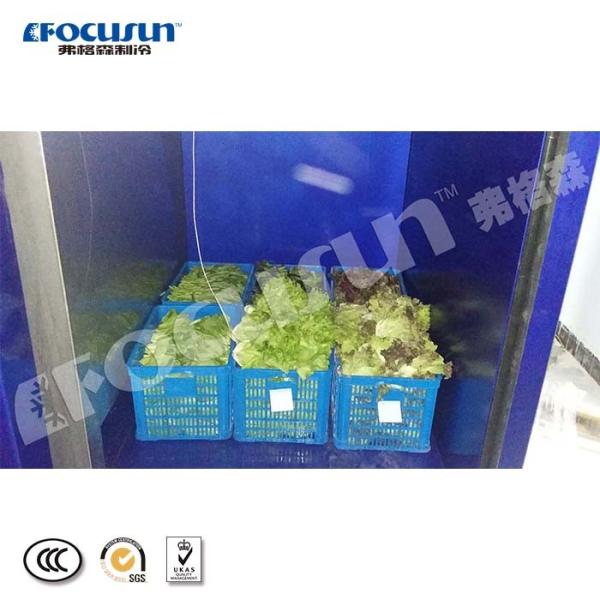 Фокусун вакуумное охлаждающее оборудование для фруктов и овощей 380V/3Ph/50Hz напряжение