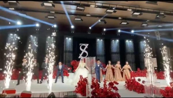 Customized Control Party Wedding Disco Fog Machine with Colored Segrat and Smoke Making