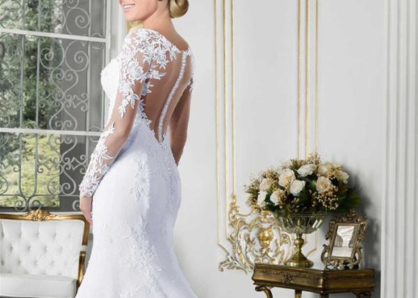 Pure White Mermaid Lace Bridal Gowns Long Sleeve Perspective Back Grace Tulle
