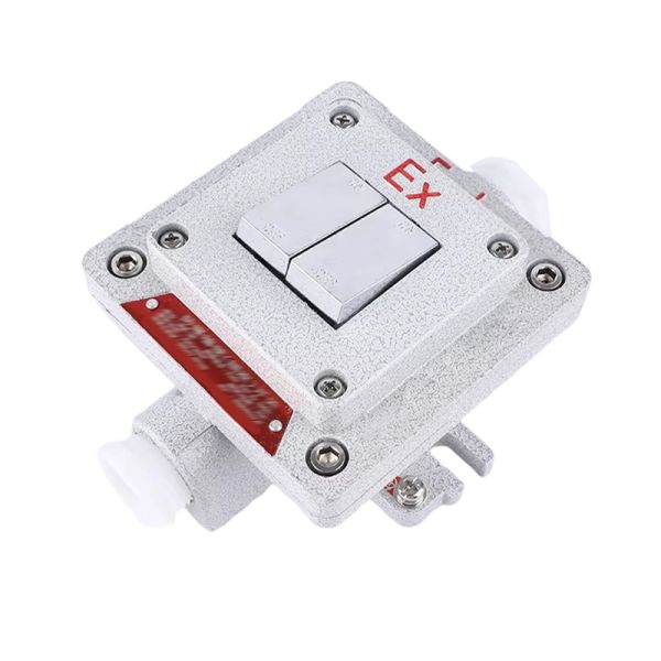 Flameproof Type Explosion-proof Wall Switch Surface-mounted Explosion-proof, Dust-proof and Water-resistant