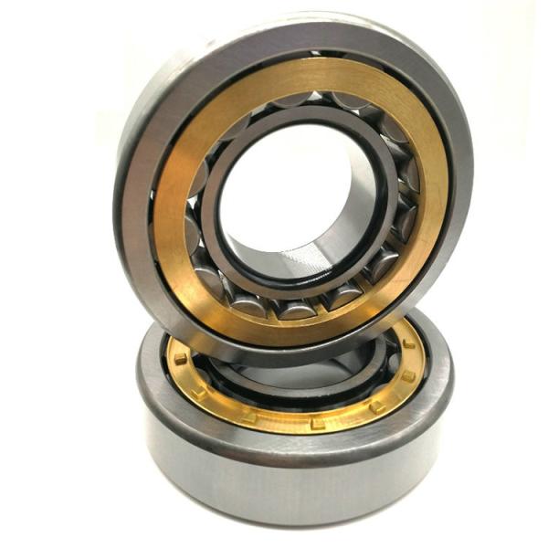 NJ428E NJ428EM Cylindrical Roller Bearing NJ428 NJ428EM/C4 For Vibrating Screeng