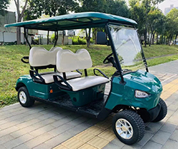 AC Controller Electric Golf Trolley for Improved Golfing Performance