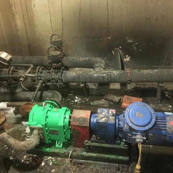 O desperdício de alimento 190Rpm reversível bombeia a anti corrosão de múltiplos propósitos