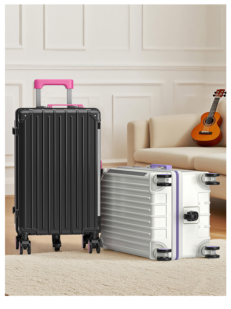 20 Inch Luggage with TSA Lock