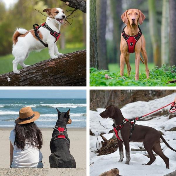 Pet Supplies Upgrade No Pull Dog Harness Adjustable Soft Padded Harness Dog with Quick Release Neck Buckle