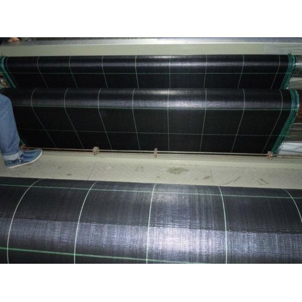 PP Black - Green Biodegradable Landscape Fabric For Stop Grass Growing
