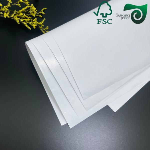 FSC 250gsm High Brightness Glossy Text Cover Paper 610mm 860mm Excellent Printability