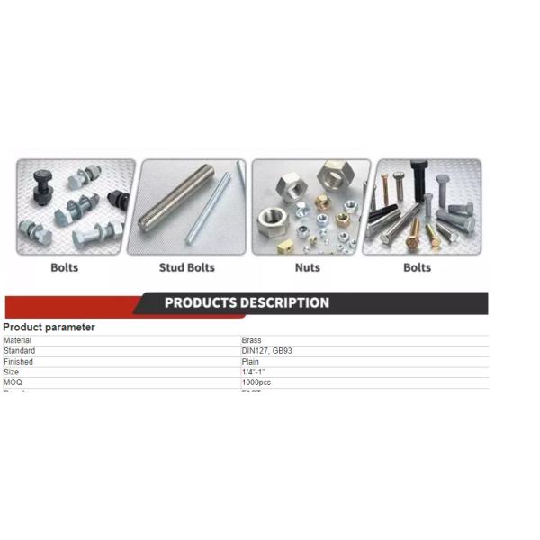 Шайба весны шайб квартиры нержавеющей стали шайбы равнины DIN127 GB93 плоской шайбы 3 дюймов латунные