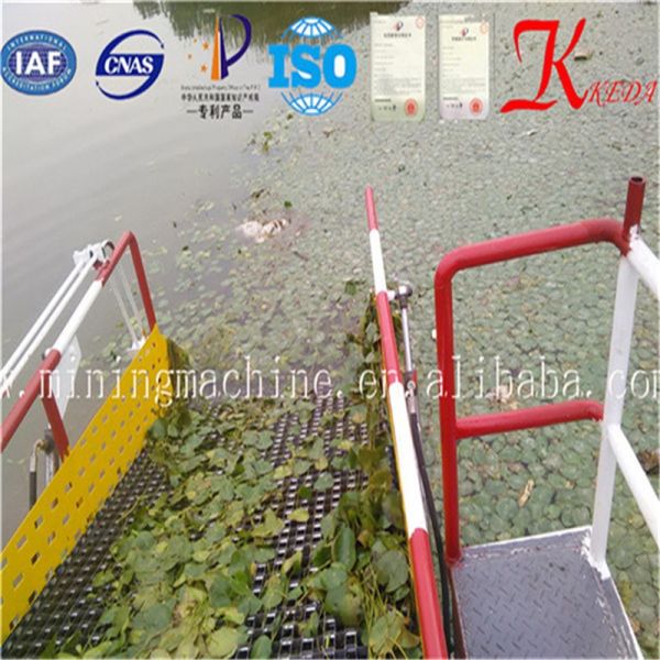 Affordable Eco-friendly Aquatic Weed Harvester and Water Hyacinth Hunter for Easy River Cleaning