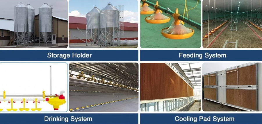 Fast Installation Hot-Dip Galvanized Light Steel Structure Chicken Coop with Customizable Dimensions