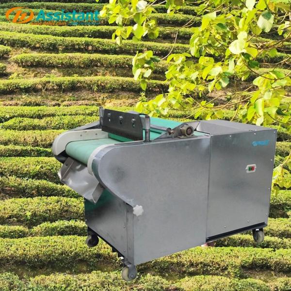 Tea Vegetable Sectioning Machine DL-6GCQ-30-2 for Multifunctional Potato Shredder 220V