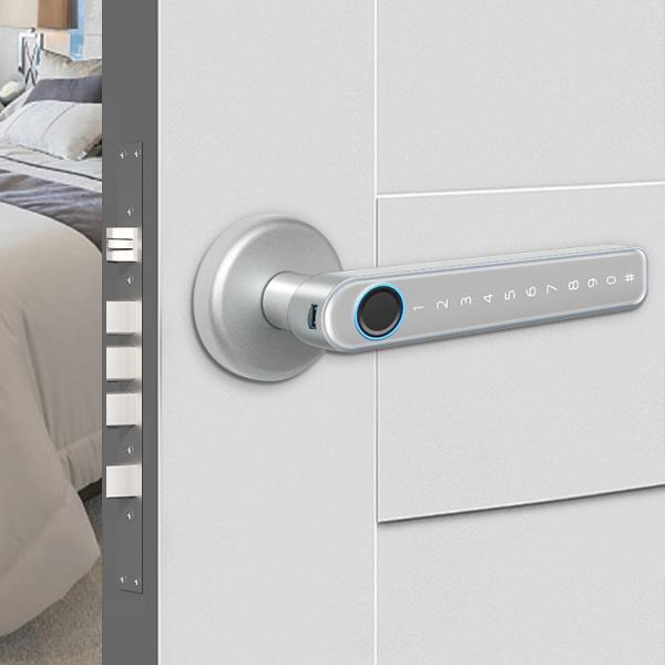 Wifi TTlock Smart Handle Door Lock Zinc Alloy For Outside Gate