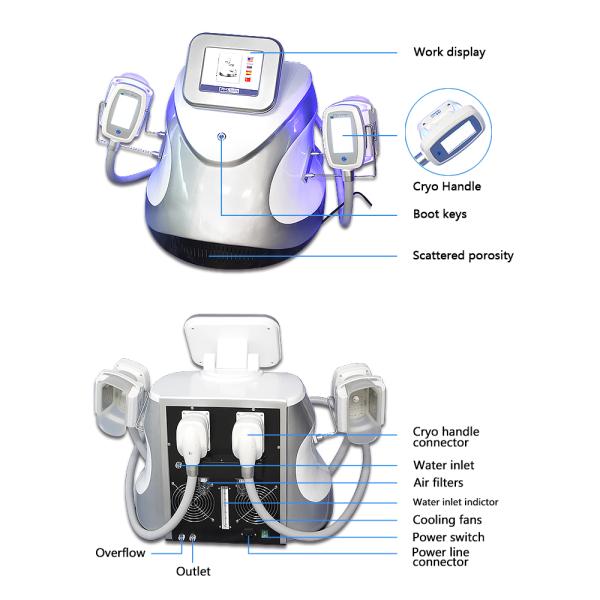 Double Handle Cryo Fat Freezing Machine Vacuum Weight Loss Cryolipolysis Device