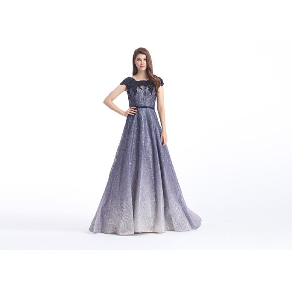 Sweep Train Formal Ladies Evening Dresses Short Sleeve U - Neck Style