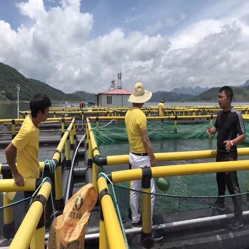 Anti-Wind Wave Square Floating Fish Cage Deep Water Culture Net Cage